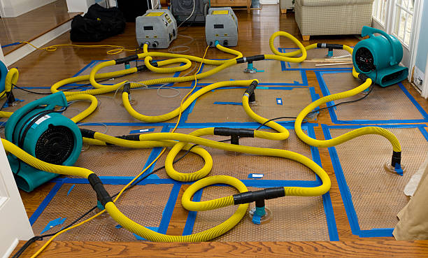 Professional Structural Drying And Dehumidification technician working in Rosedale, CA
